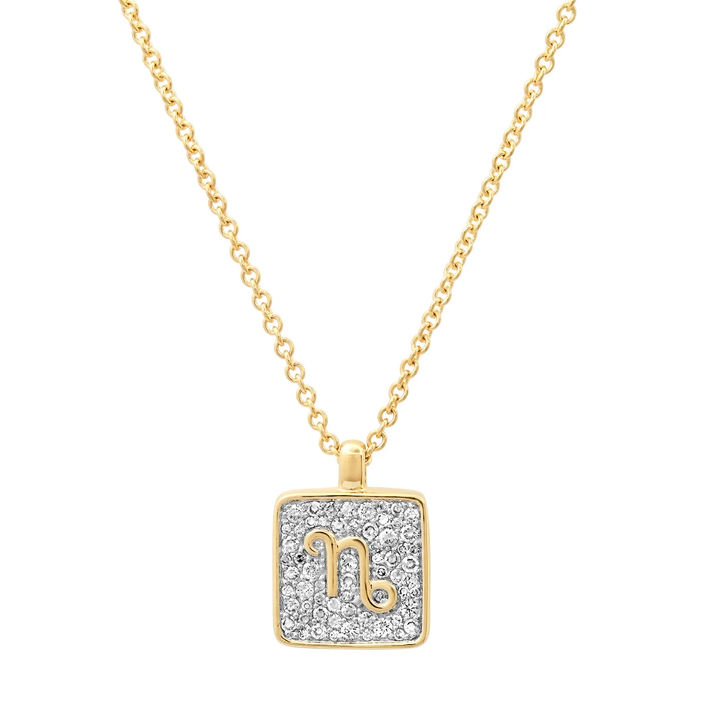 CAPRICORN NECKLACE