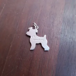 Custom Pendant-(Shadow Picture)