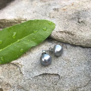 Grey freshwater pearls stud earrings 11 mm