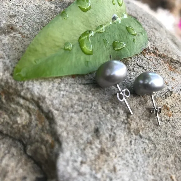 Grey freshwater pearls stud earrings 11 mm